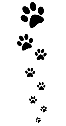 paw-prints-vertical
